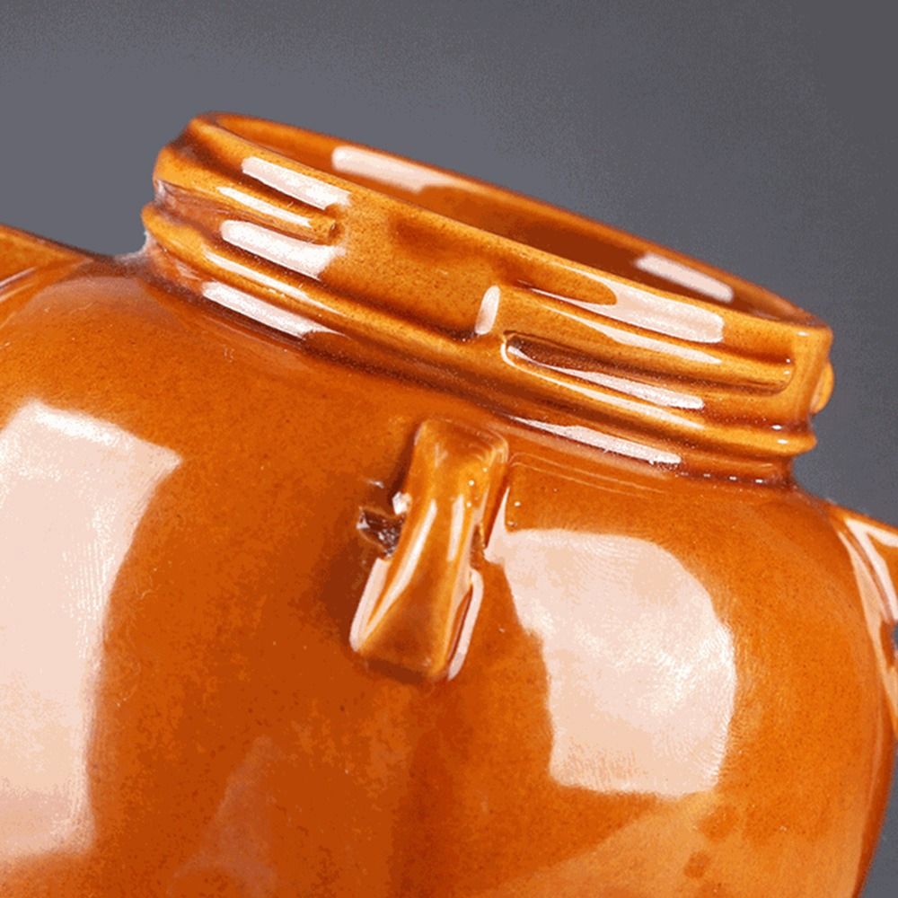 Tarro de cerámica de gran capa - Food Storage Jars With Lids reseña y precio