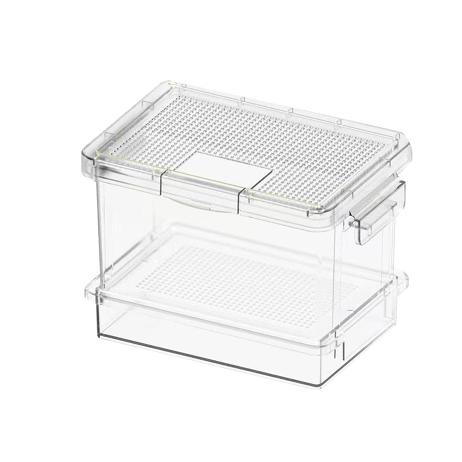 Comedero de plástico para tort - Food Storage Plastic reseña y precio